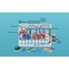 image:imageSNAP CIRCUITS Extreme SC750 STEM Electronics Kit for Kids Ages 8500 Projects